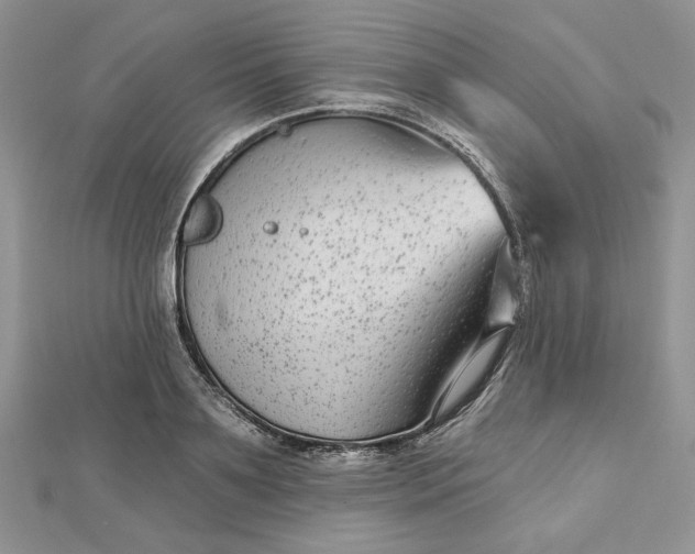 X0000112480891200908311408