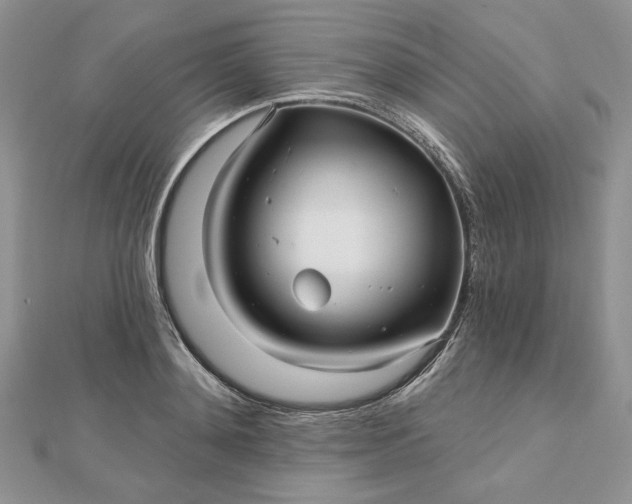 X0000112480892200908311408