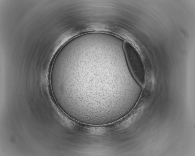 X0000112480893200908311408