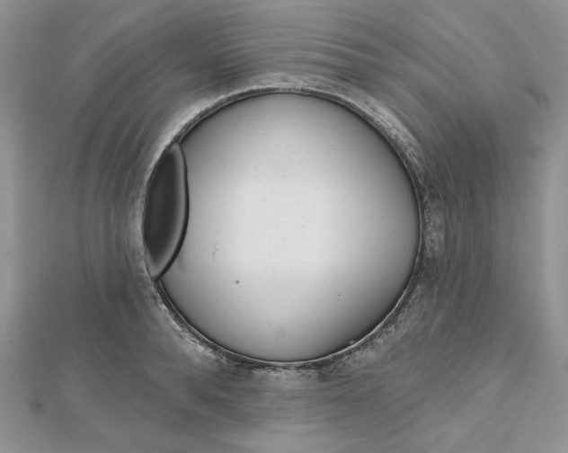 X0000112480896200908311408