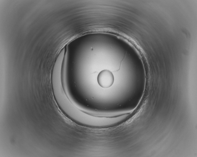 X0000112480897200908311408