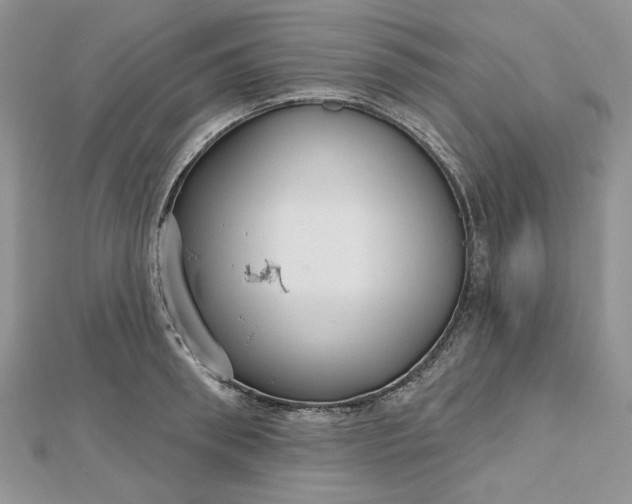 X0000112480898200908311408