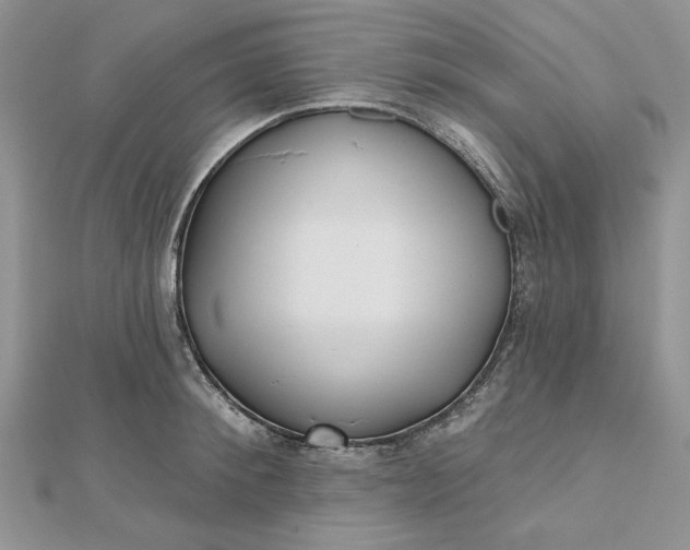 X0000112480900200908311408