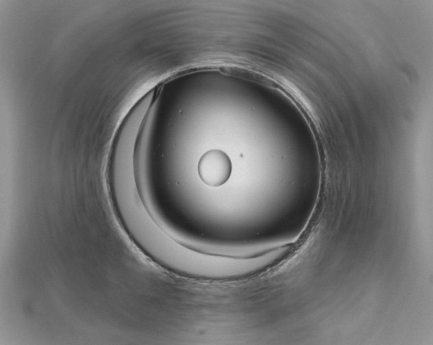 X0000112480901200908311408