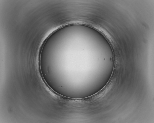 X0000112480902200908311408