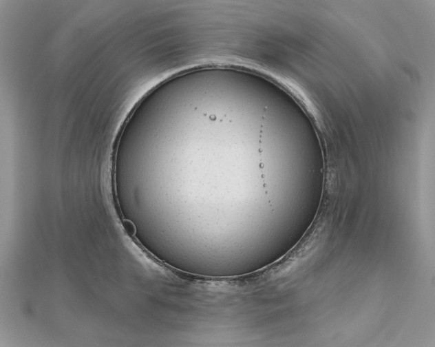 X0000112480903200908311408