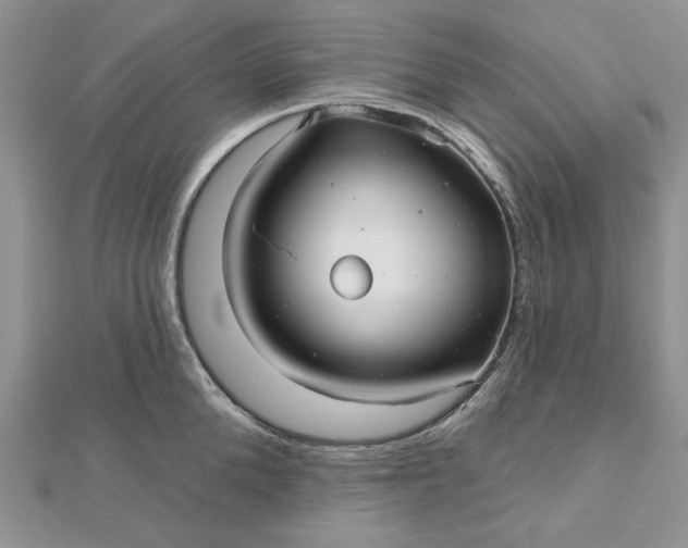 X0000112480904200908311408