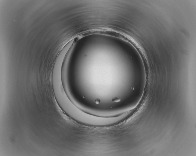 X0000112480905200908311408