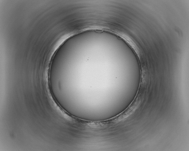 X0000112480906200908311408