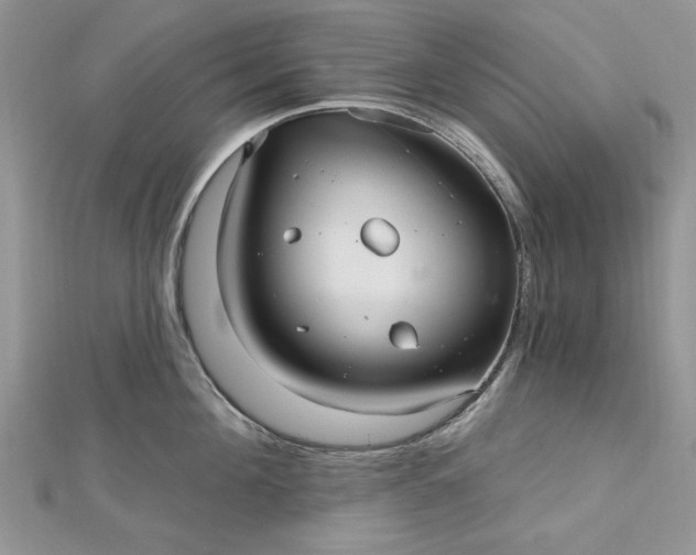 X0000112480908200908311408