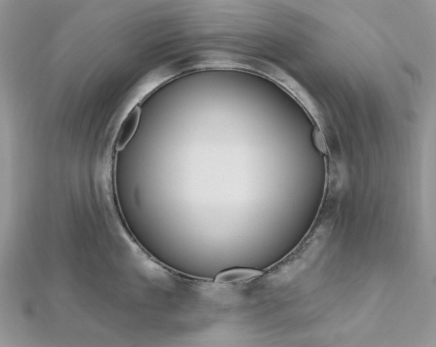 X0000112480909200908311408