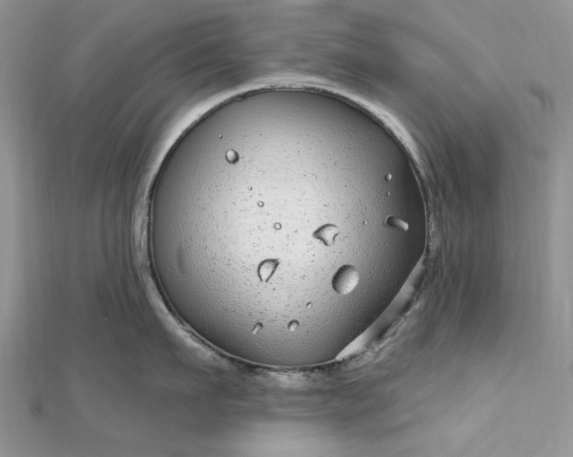 X0000112480911200908311408