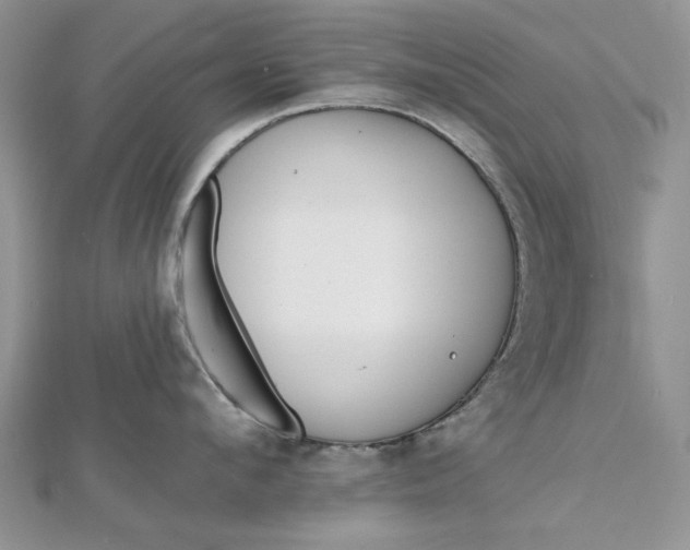 X0000112480912200908311408