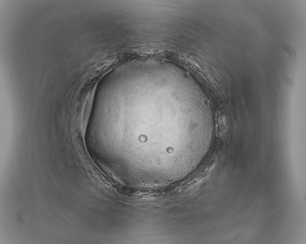 X0000112480913200908311407