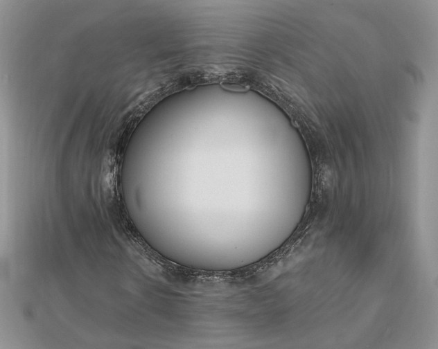 X0000112480914200908311407