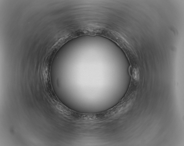 X0000112480915200908311407