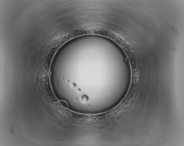 X0000112480917200908311407