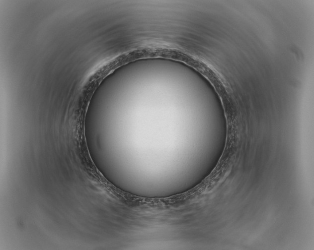 X0000112480919200908311408