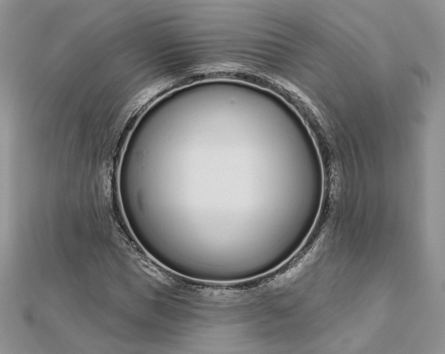 X0000112480921200908311408