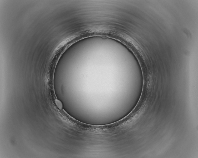 X0000112480922200908311408