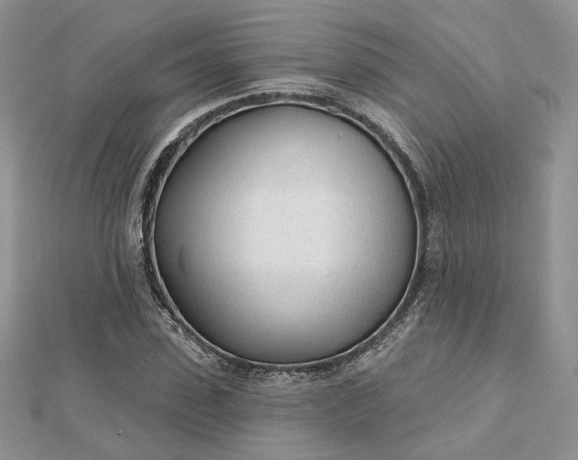 X0000112480923200908311408