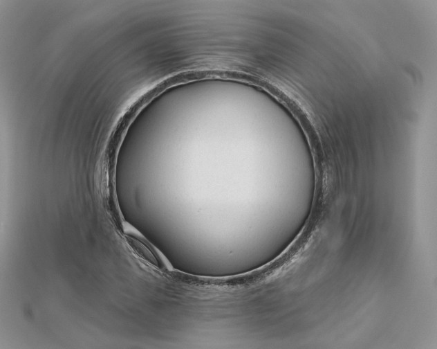 X0000112480925200908311408