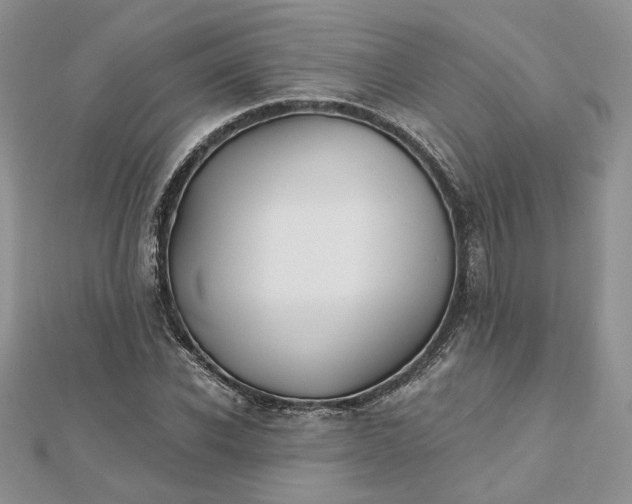 X0000112480926200908311408