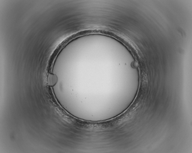 X0000112480927200908311408