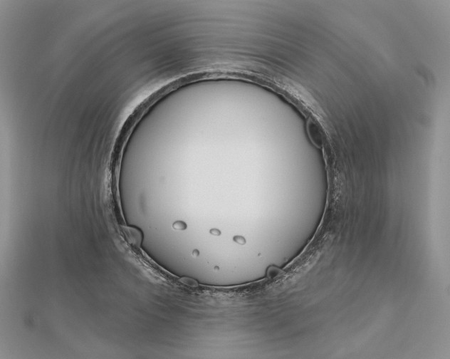 X0000112480928200908311408