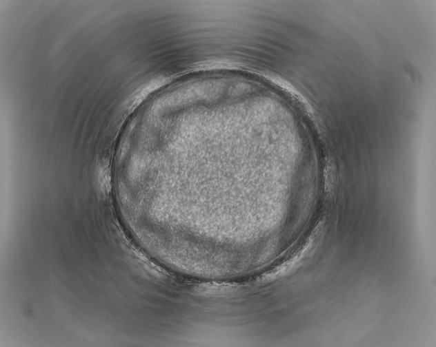 X0000112480929200908311408