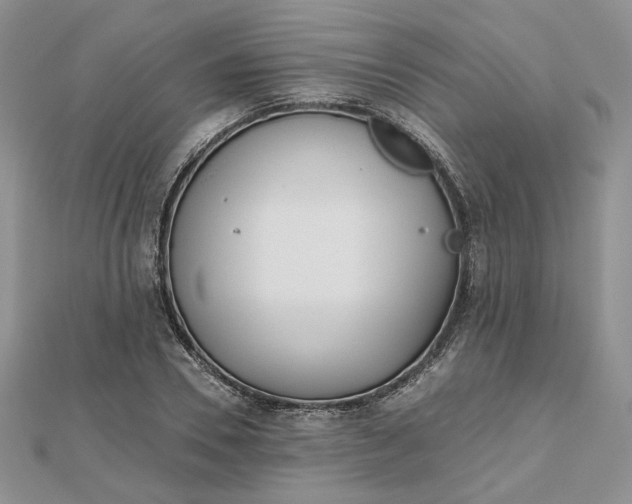 X0000112480930200908311408