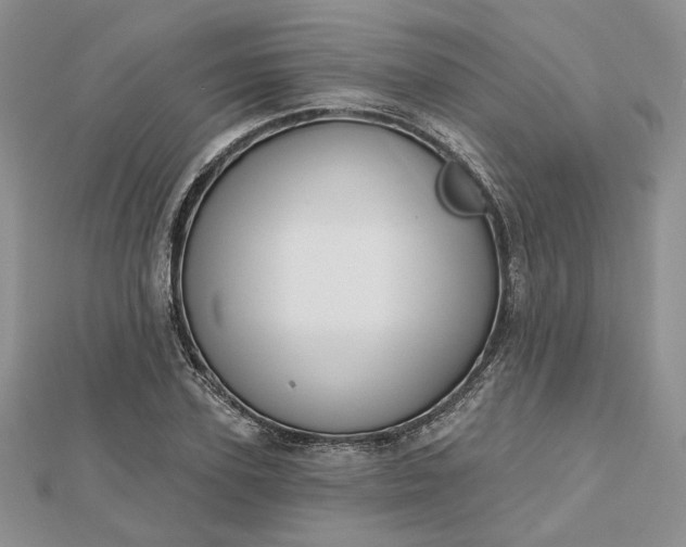 X0000112480931200908311408