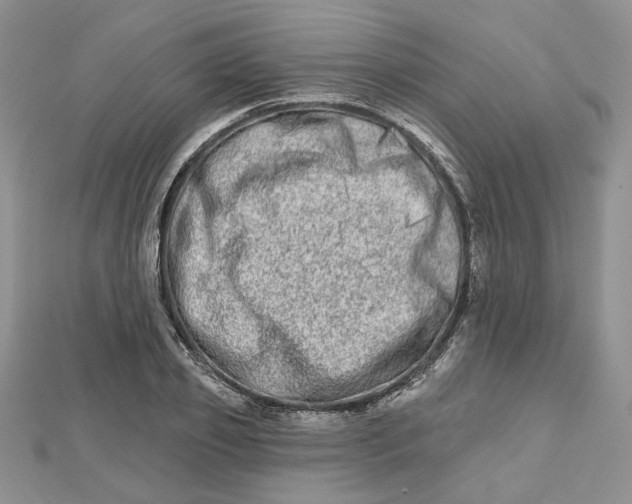 X0000112480933200908311408