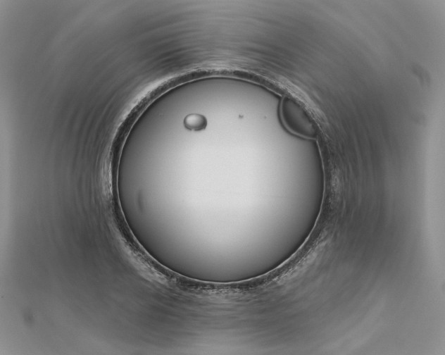 X0000112480934200908311408