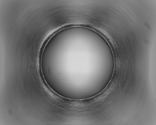 X0000112480935200908311408