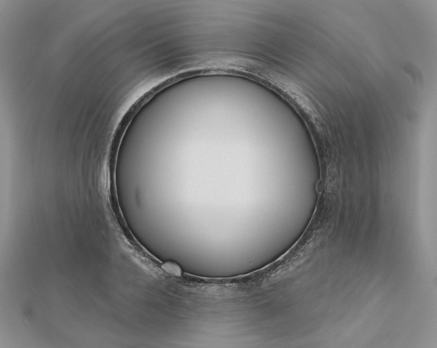 X0000112480936200908311408