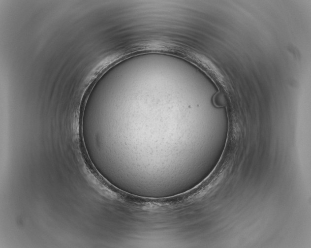 X0000112480938200908311408