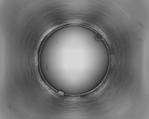 X0000112480939200908311408