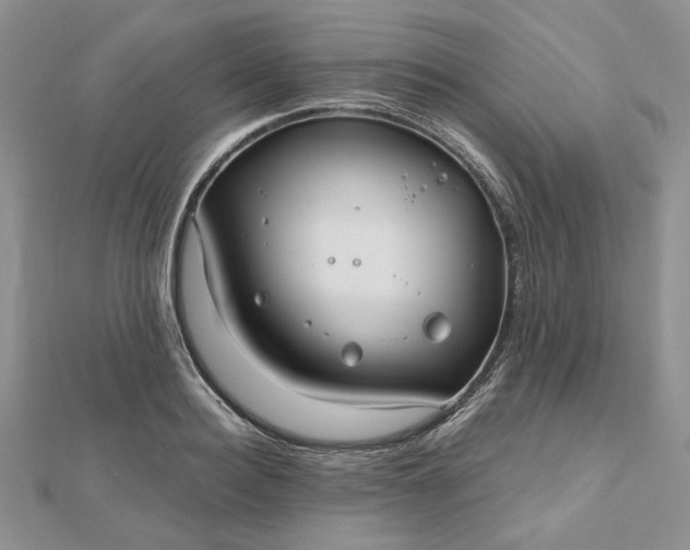 X0000112480940200908311408