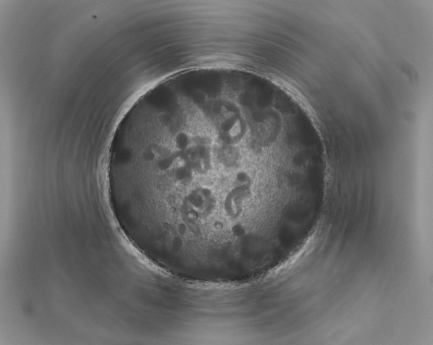 X0000112480941200908311408