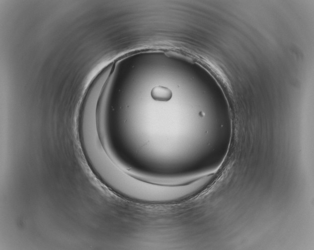 X0000112480944200908311408