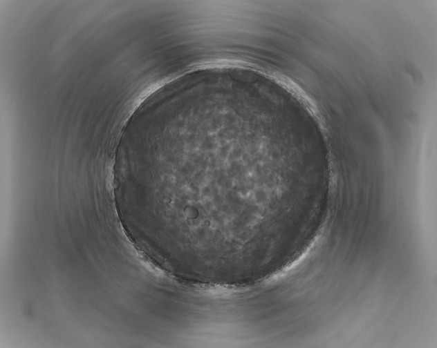 X0000112480945200908311408