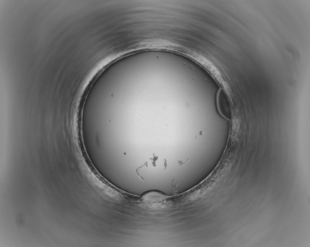 X0000112480947200908311408