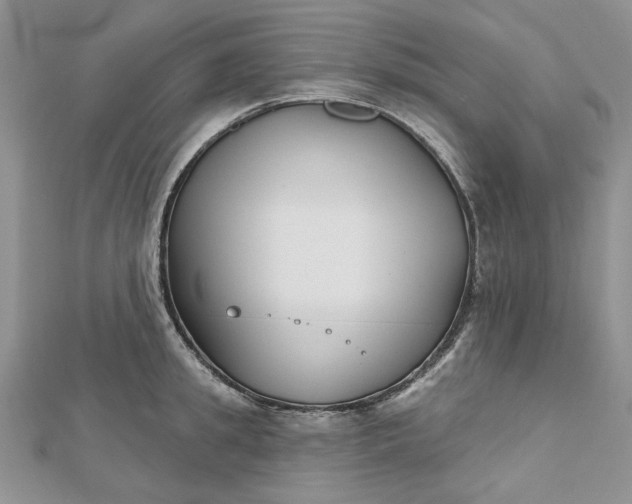 X0000112480949200908311408