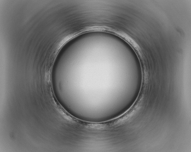 X0000112480953200908311408