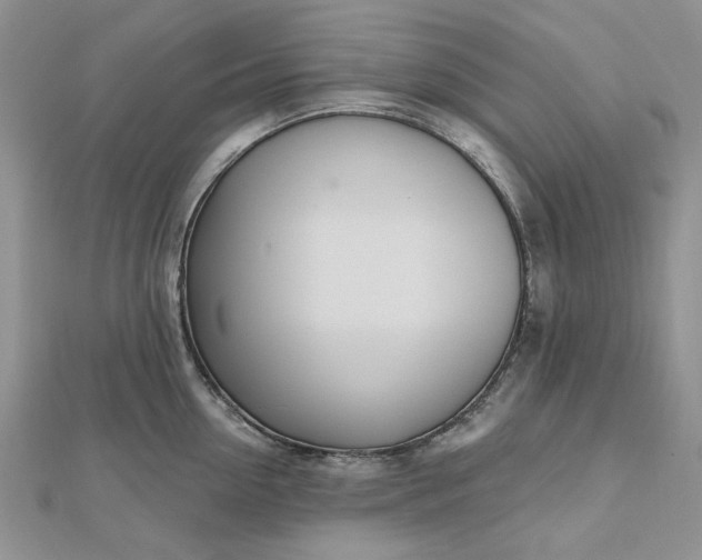 X0000112480954200908311408