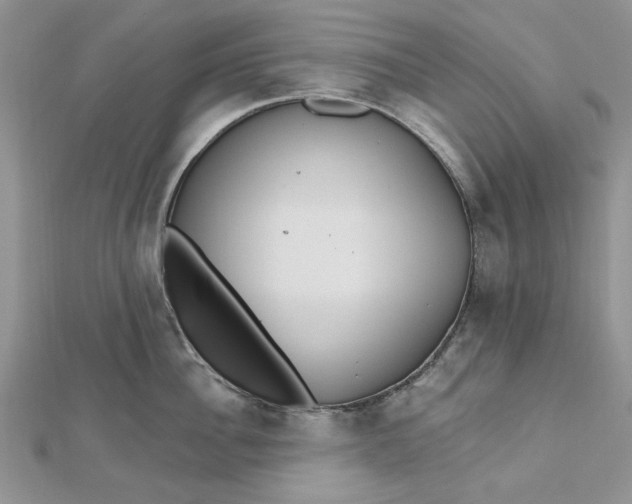 X0000112480956200908311408