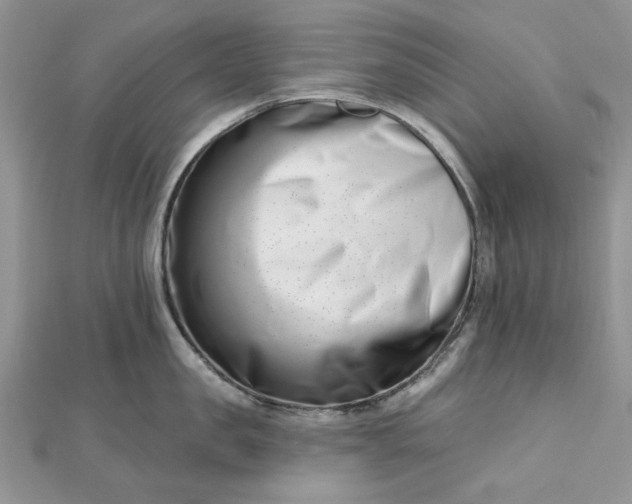 X0000112480957200908311408