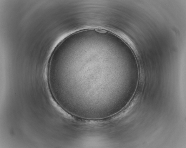 X0000112480958200908311408