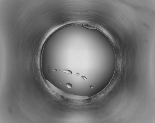 X0000112480959200908311408